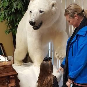 Meet your Posher, James